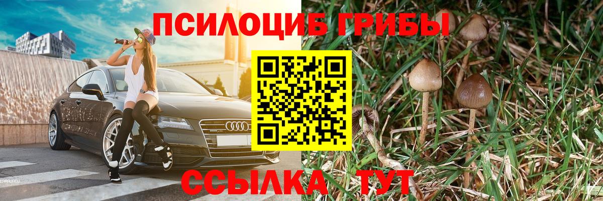 Псилоцибиновые грибы Psilocybe  Вход с VPN  Алушта 