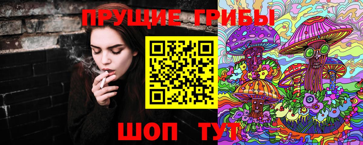 Галлюциногенные грибы Psilocybine cubensis Алушта